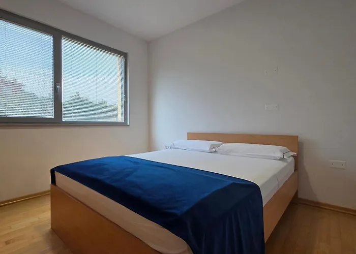 Apartmaji Palea アパート *